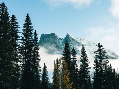 Banff & Jasper tour