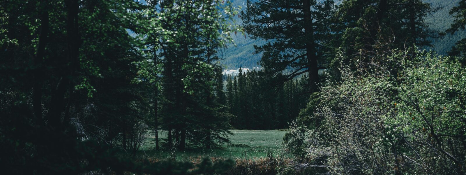 Banff group tour April 2026