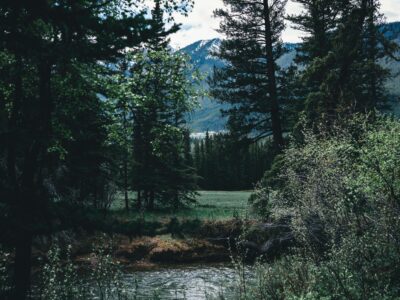 Banff group tour April 2026