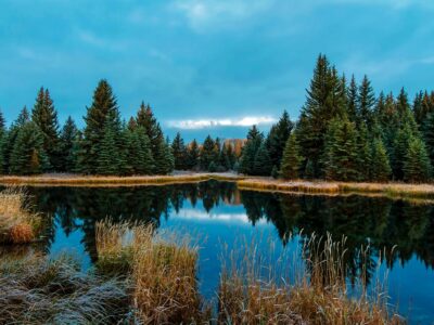 Edmonton to Sylvan Lake Taxi Service